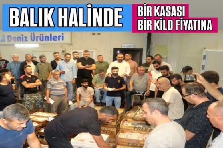 BİR KASA BALIK BİR KİLO FİYATINA