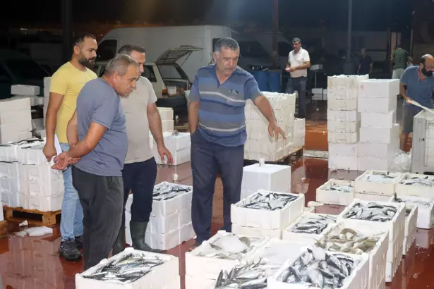 AKDENİZ'DE AV YASAĞI KALKTI