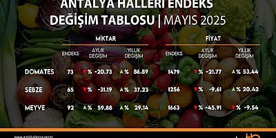 ANTALYA TİCARET BORSASI HAZİRAN AYI HAL ENDEKSİNİ AÇIKLADI