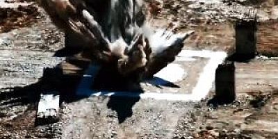 BAYRAKTAR AKINCI'DAN, YERLİ MÜHİMMAT İLE HEDEFE TAM İSABET 