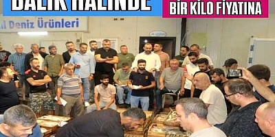 BİR KASA BALIK BİR KİLO FİYATINA