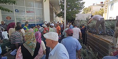BÜYÜKŞEHİR'DEN ZEYTİN SEFERBERLİĞİ