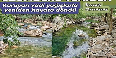 DOĞA MUCİZESİ: ÜZÜMDERE IRMAĞI YENİDEN HAYATA DÖNDÜ!