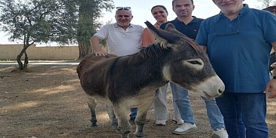 “EŞEK DEYİP GEÇMEYELİM”