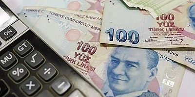 GAYRİSAFİ MİLLİ HASILAYA EN FAZLA KATKI MALİ OLMAYAN ŞİRKETLERDEN GELDİ