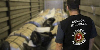 GÜMRÜK KAPILARINDA KAMU ZARARINA GEÇİT VERİLMEDİ