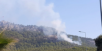 KEMER’DE ORMAN YANGINI KONTROL ALTINA ALINDI