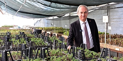 KEPEZ’DE KURAKÇIL PEYZAJ DEVRİMİ BAŞLIYOR