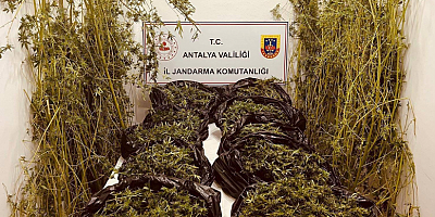 KEPEZ VE AKSU İLÇELERİNDE UYUŞTURUCU OPERASYONU