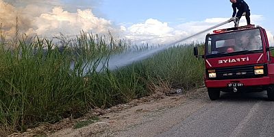 MANAVGAT’TA ÇÖP DÖKME YASAĞINA RAĞMEN ALAN ALEV ALDI