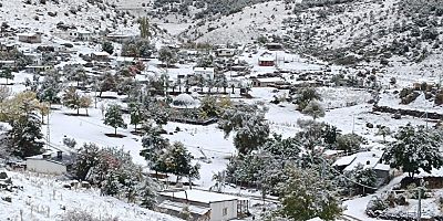 TOROSLAR’A EKİM KARI!