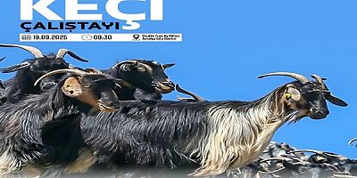 TOROSLARIN HAS IRKI KEÇİ, ÇALIŞTAY’DA KONUŞULACAK