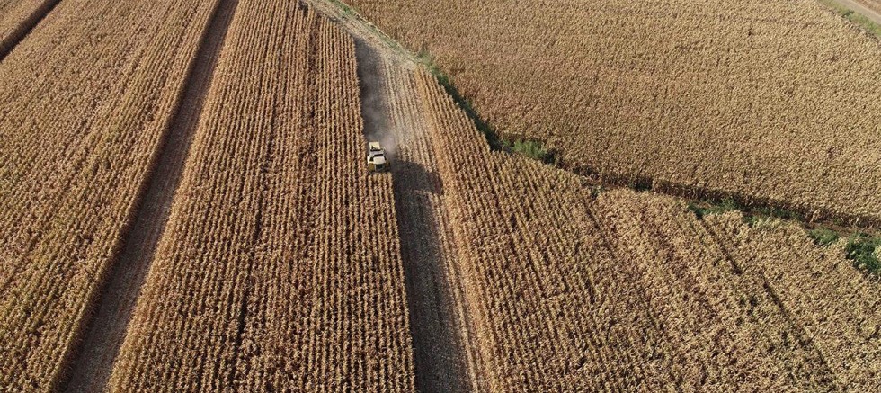 TARIM VE HAYVANCILIKTA ÖNCELİKLİ YATIRIMLAR İÇİN YOL HARİTASI ÇİZİLDİ