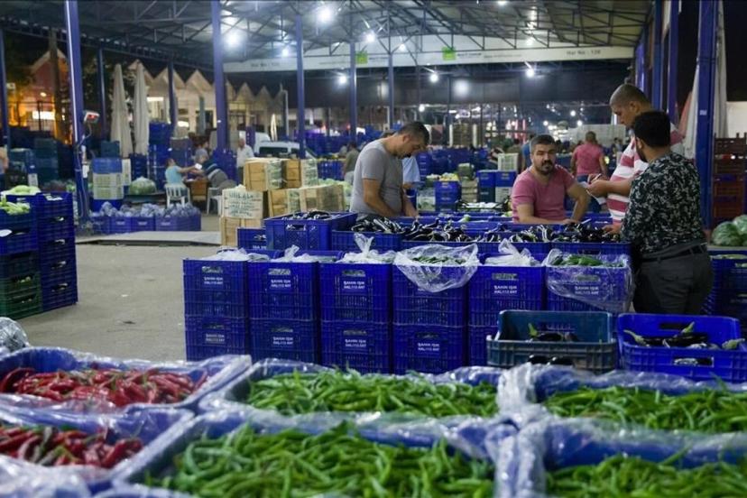 ANTALYA HALİ, TÜRKİYE’NİN SEBZE TÜKETİMİNİN YARISINI KARŞILIYOR