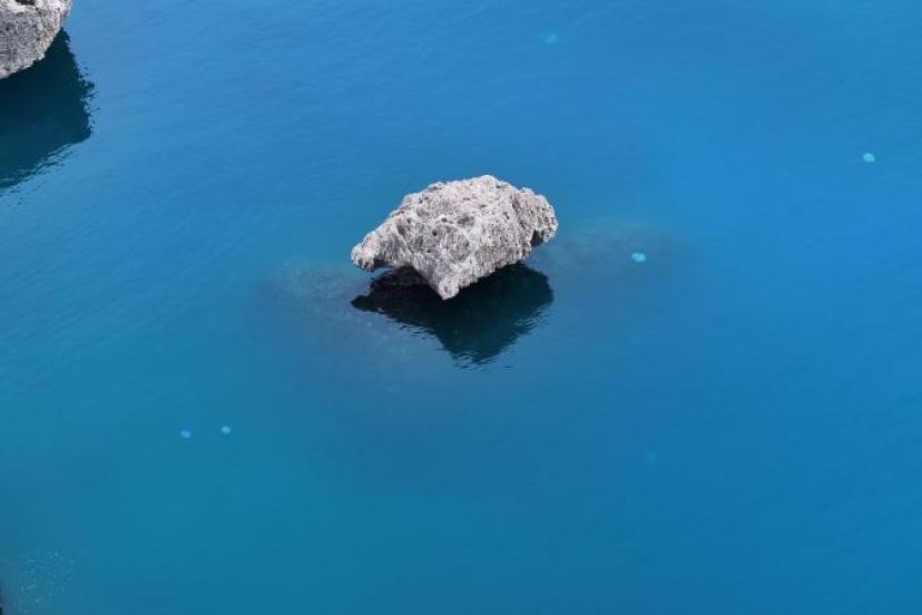 ANTALYA KÖRFEZİ’NDE DENİZANASI YOĞUNLUĞU