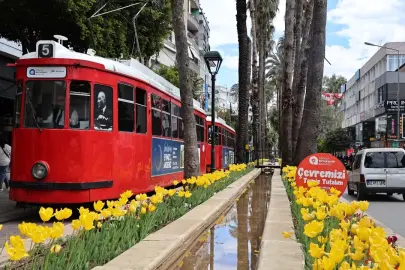 ANTALYA LALERLE RENKLENDİ