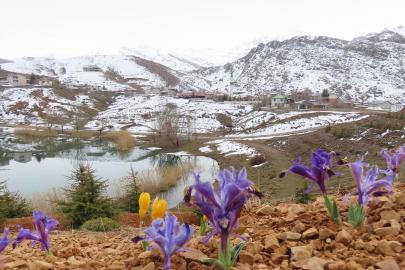 ANTALYA YAYLALARINDA İLKBAHAR RENKLERİ