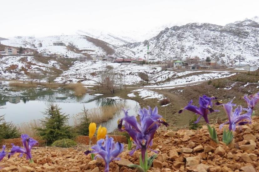ANTALYA YAYLALARINDA İLKBAHAR RENKLERİ