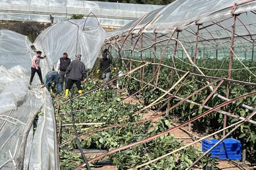 HORTUMUN İZİ SERALARDA KALDI