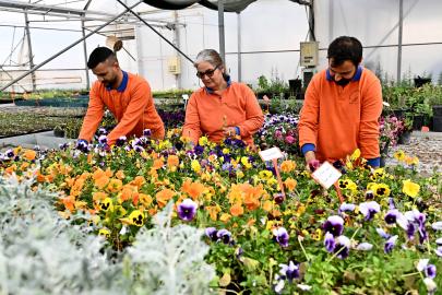 MURATPAŞA’DAN SÜRDÜRÜLEBİLİR ÜRETİM MODELİ