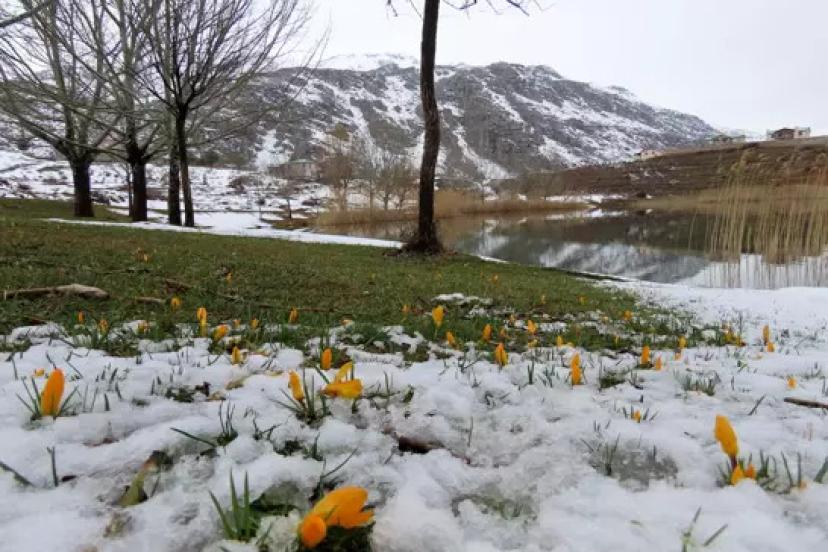 TOROS YAYLALARINDA BAHAR RENKLERİYLE GELDİ
