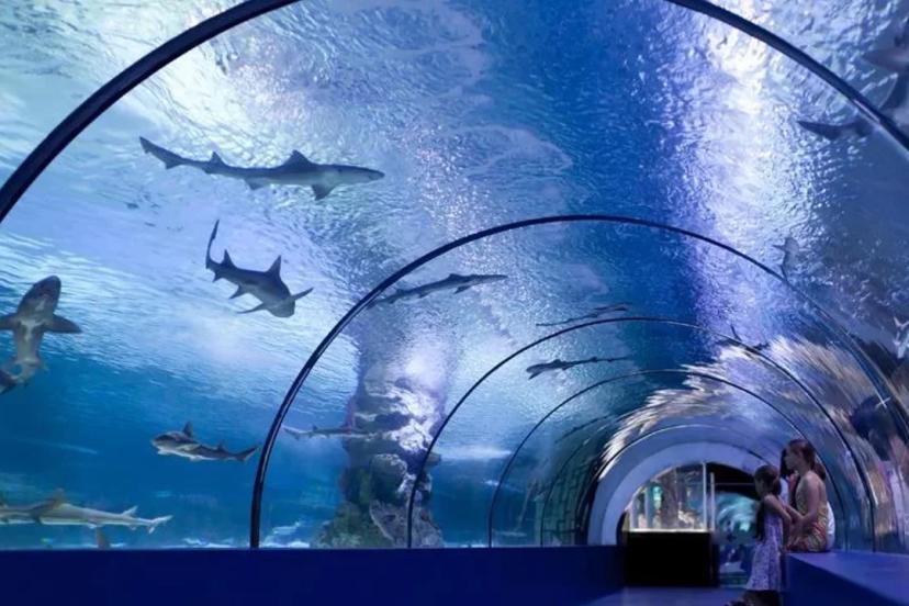 23 NİSAN’DA ÇOCUKLARA 4 GÜN ÜCRETSİZ GİRİŞ