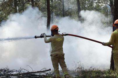 ANTALYA’DA 250 KİŞİLİK ORMAN YANGINI TATBİKATI GERÇEKLEŞTİRİLDİ