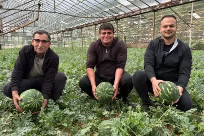 ANTALYA’DA KARPUZ HASADI BAŞLIYOR