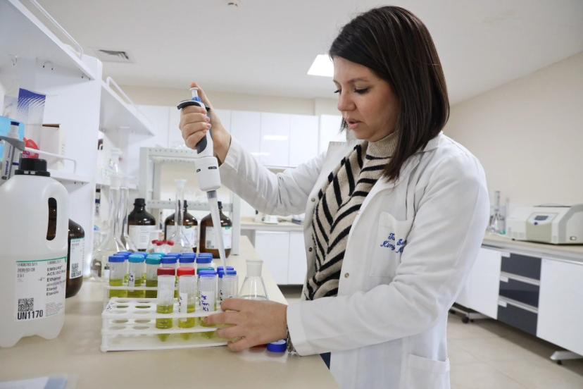 ANTALYA’DA PASSİFLORA ARAŞTIRMASI: TIBBİ BİTKİLERDE YENİ ADIM