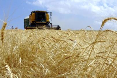 ÇAYCUMA’DA TARIM HAMLESİ BAŞLADI