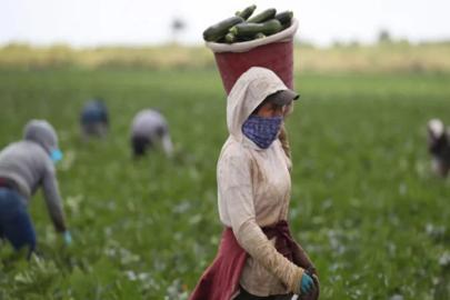 GÜBREDE TEDARİK VE KARABORSA RİSKİ