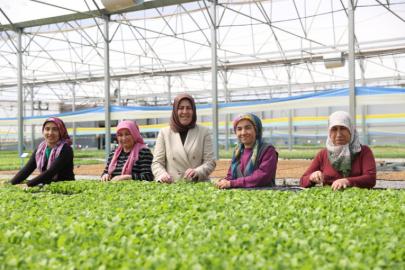 MARULDAN FİDE İMALATINA, 40 KADINA İSTİHDAM