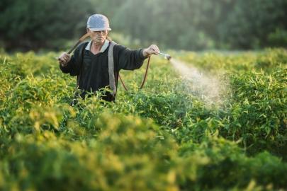 SMS ZORUNLULUĞU TARIMI KİLİTLEYEBİLİR