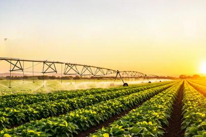 TARIMDA TARİHİ FIRSAT: ANTALYA İÇİN KRİTİK UYARI