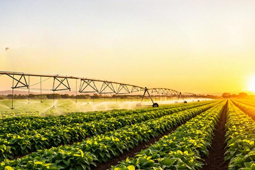 TARIMDA TARİHİ FIRSAT: ANTALYA İÇİN KRİTİK UYARI