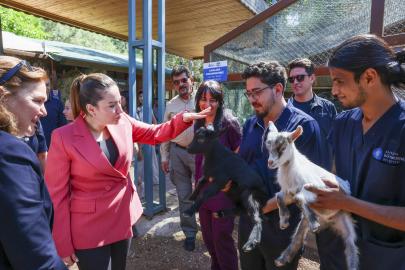 VETERİNERLERE ANLAMLI ZİYARET