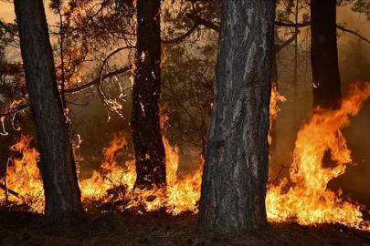 ANTALYA’DA ORMAN YANGINI RİSKİ YÜKSEK SEVİYEDE
