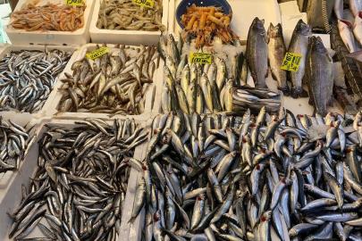 ANTALYA’DA SICAKLARLA BİRLİKTE GIDA RİSKİ ARTTI