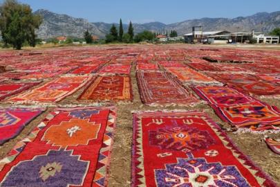ANTALYA’NIN “HALI TARLALARI