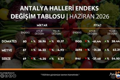 ANTALYA'DA MEYVE VE SEBZENİN HAZİRAN KARNESİ AÇIKLANDI