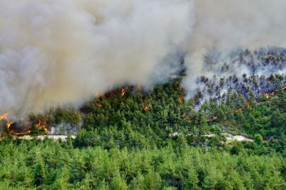 ANTALYA'DA ORMAN YANGINI ALARMI: RİSK EN ÜST SEVİYEYE ÇIKTI