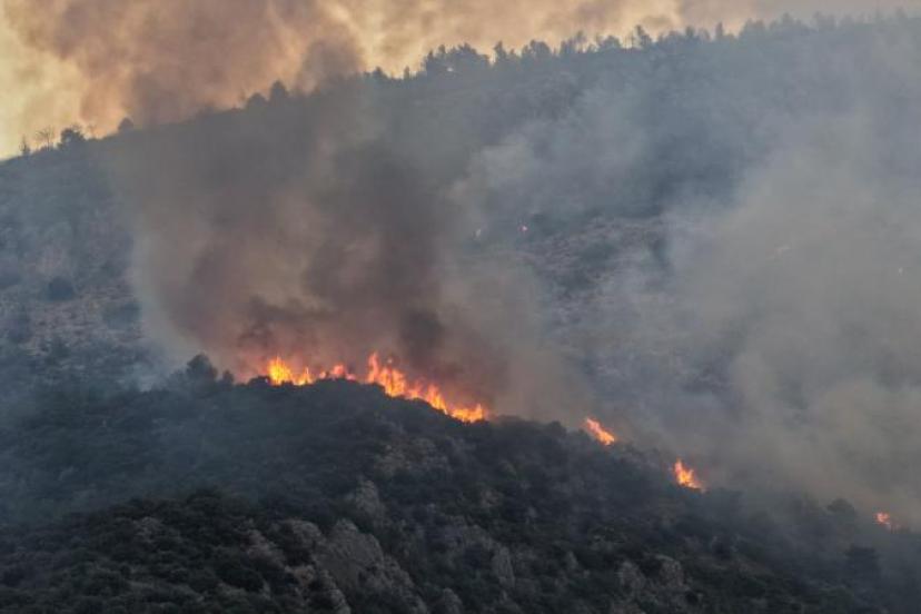 KAŞ'TA YANGINLA MÜCADELE 2. GÜNÜNDE