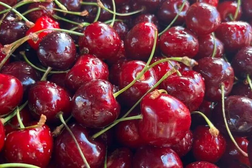 KİRAZ İHRACATINDA REKOR SIÇRAMA