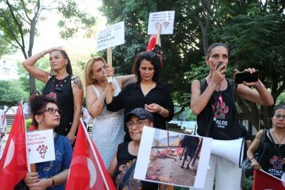 ANTALYA'DA HAYVAN HAKLARI İÇİN ORTAK ÇAĞRI