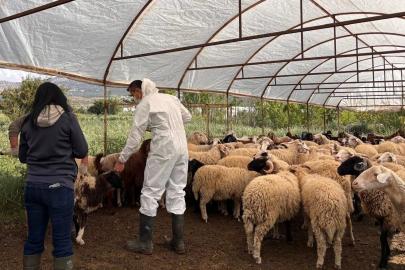 ANTALYA’DA KARANTİNAYA ALINAN MAHALLENİN SON DURUMU BELLİ OLDU