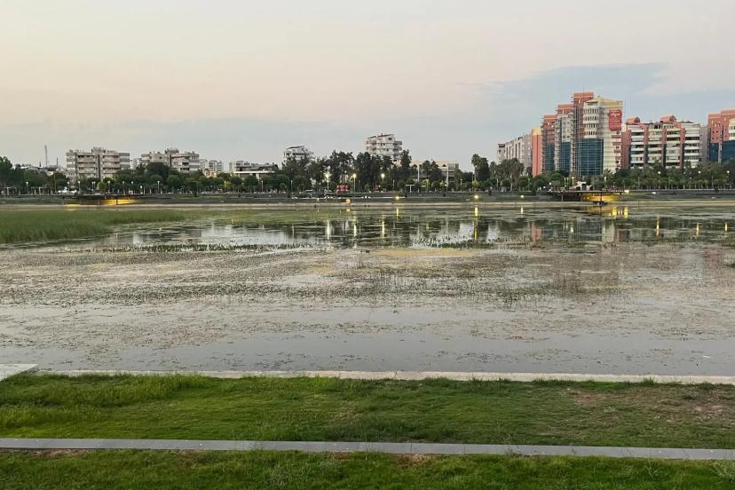 BOĞAÇAYI’NDA YAZ MANZARASI: BATAKLIK VE KOKU