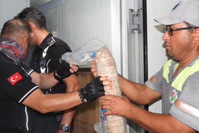 KEPEZ’DE GIDA DEPOSUNA BASKIN GİBİ DENETİM: 152 KİLO ET VE TURŞULARA EL KONULDU