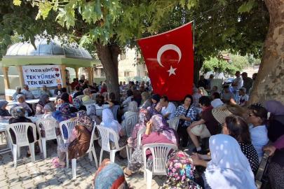 ZEYTİNLİKLER İÇİN HUKUK MÜCADELESİ