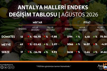 ANTALYA HALLERİNDE AĞUSTOS TABLOSU: DOMATES ZAMLANDI, SEBZE VE MEYVEDE MİKTAR GERİLEDİ