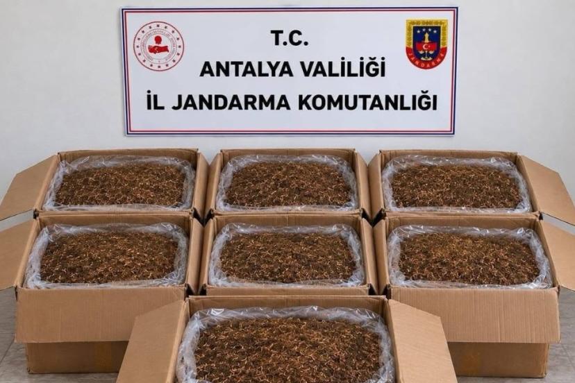 ANTALYA’DA KAÇAK TÜTÜN OPERASYONU: 210 KİLO TÜTÜN ELE GEÇİRİLDİ